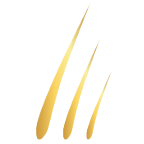 masteringhairtransplantation.de